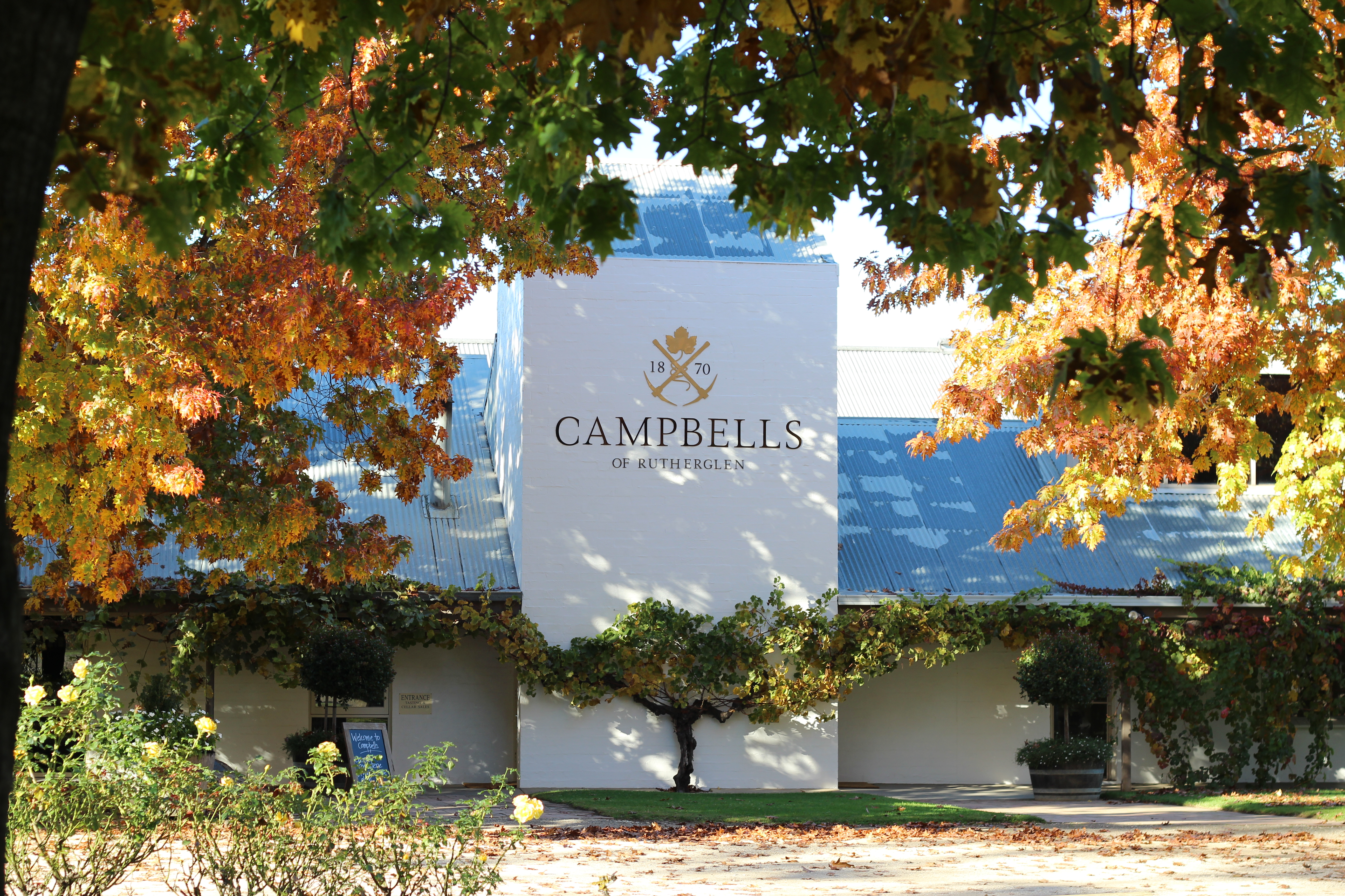 Campbells Winery Autumn Frontage